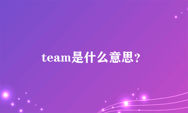 team是什么意思？