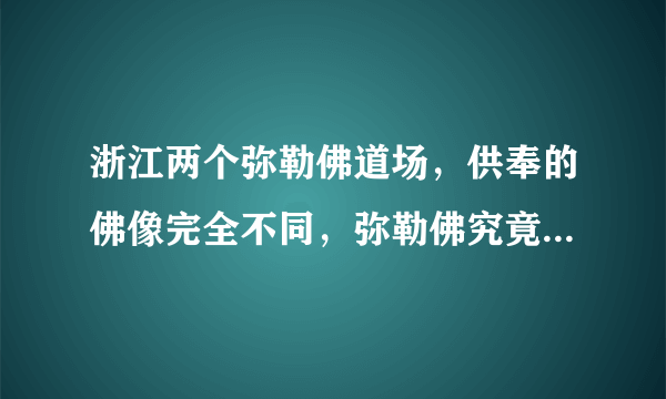 浙江两个弥勒佛道场，供奉的佛像完全不同，弥勒佛究竟长什么样？