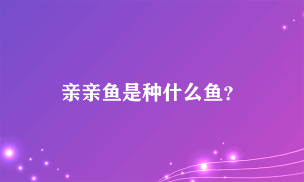 亲亲鱼是种什么鱼？