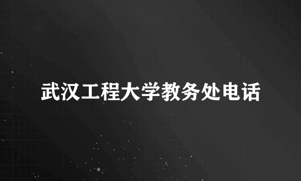 武汉工程大学教务处电话