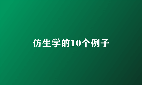 仿生学的10个例子