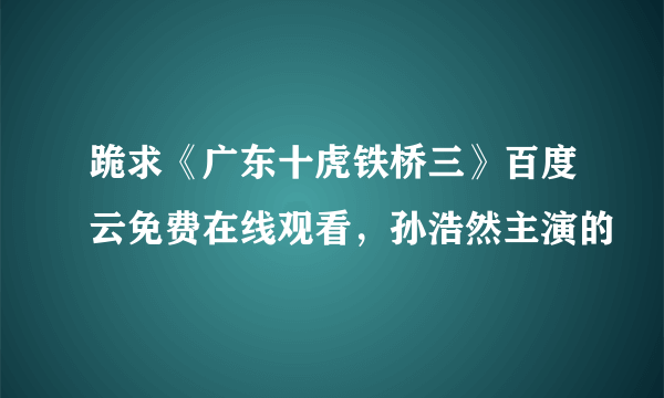 跪求《广东十虎铁桥三》百度云免费在线观看，孙浩然主演的