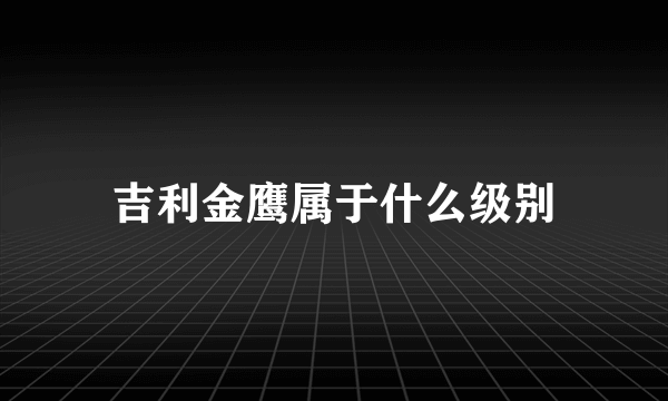 吉利金鹰属于什么级别