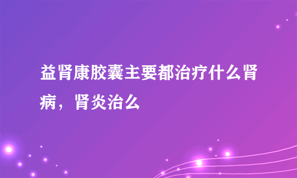 益肾康胶囊主要都治疗什么肾病，肾炎治么