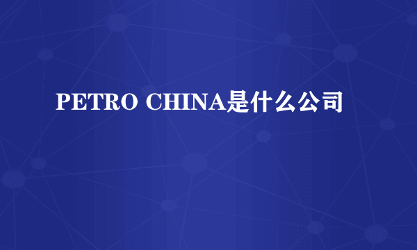 PETRO CHINA是什么公司