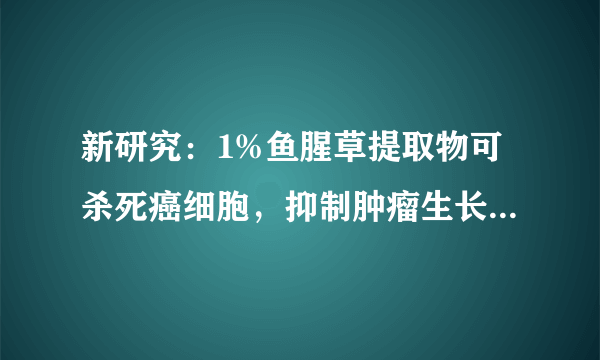 新研究：1%鱼腥草提取物可杀死癌细胞，抑制肿瘤生长，真的吗？