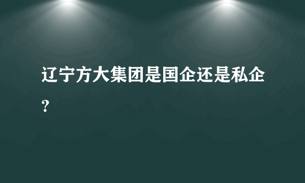 辽宁方大集团是国企还是私企？