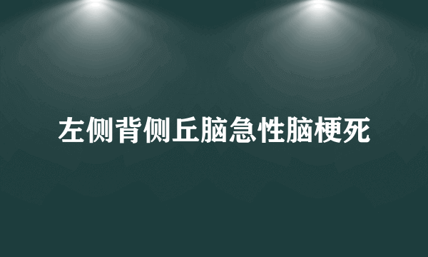 左侧背侧丘脑急性脑梗死