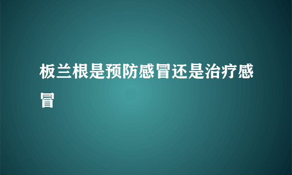 板兰根是预防感冒还是治疗感冒