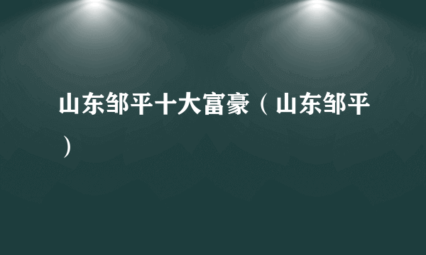 山东邹平十大富豪（山东邹平）