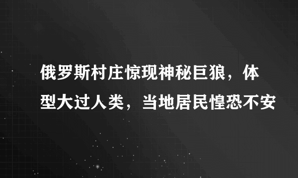 俄罗斯村庄惊现神秘巨狼，体型大过人类，当地居民惶恐不安