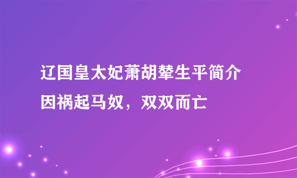 辽国皇太妃萧胡辇生平简介 因祸起马奴，双双而亡