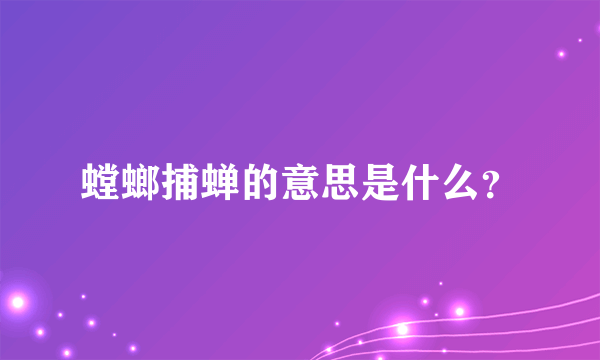 螳螂捕蝉的意思是什么？