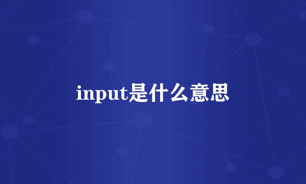 input是什么意思