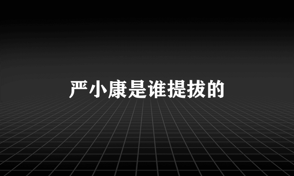 严小康是谁提拔的