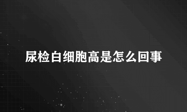 尿检白细胞高是怎么回事