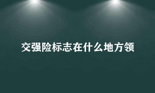 交强险标志在什么地方领