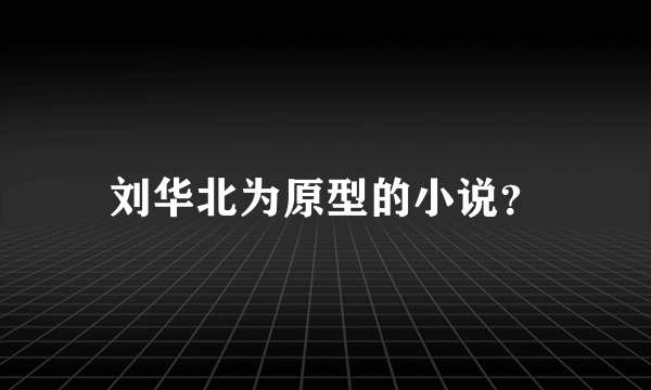 刘华北为原型的小说？