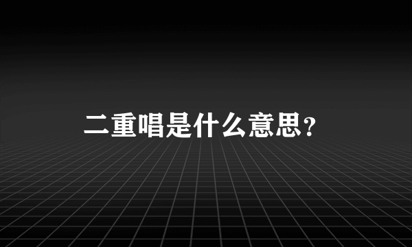 二重唱是什么意思？