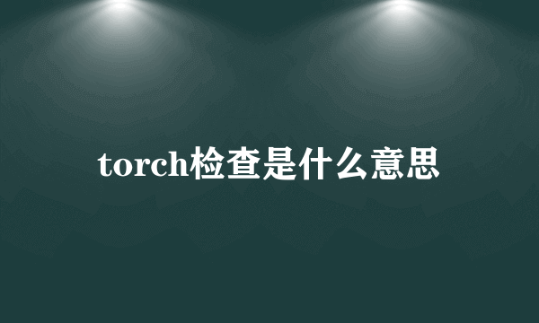 torch检查是什么意思