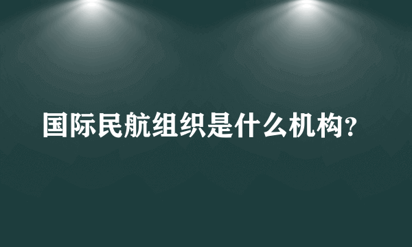 国际民航组织是什么机构？