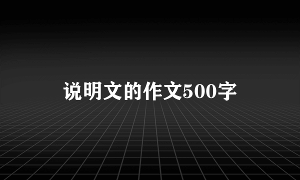 说明文的作文500字