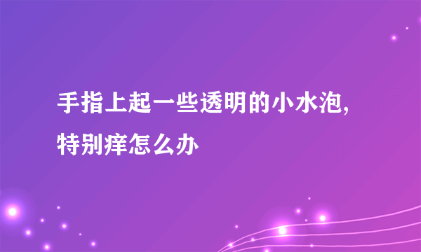 手指上起一些透明的小水泡,特别痒怎么办