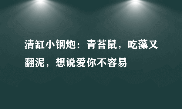 清缸小钢炮：青苔鼠，吃藻又翻泥，想说爱你不容易