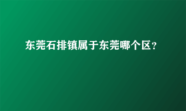 东莞石排镇属于东莞哪个区？