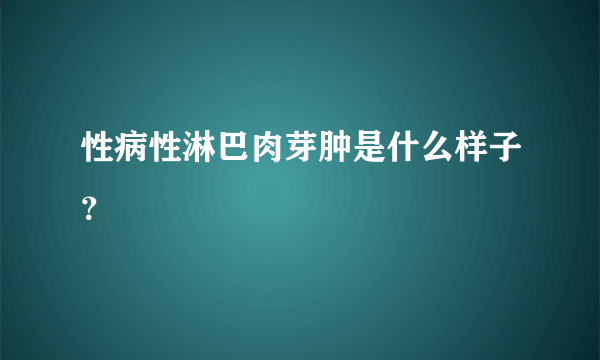 性病性淋巴肉芽肿是什么样子？