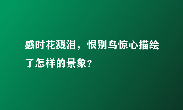 感时花溅泪，恨别鸟惊心描绘了怎样的景象？