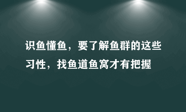 识鱼懂鱼，要了解鱼群的这些习性，找鱼道鱼窝才有把握