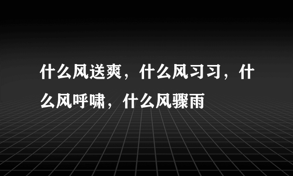 什么风送爽，什么风习习，什么风呼啸，什么风骤雨