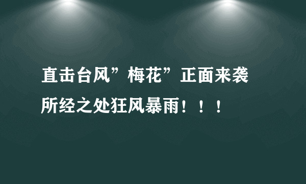 直击台风”梅花”正面来袭 所经之处狂风暴雨！！！