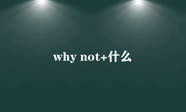 why not+什么