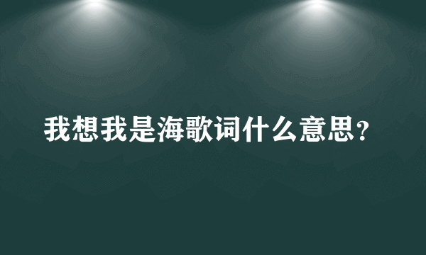 我想我是海歌词什么意思？