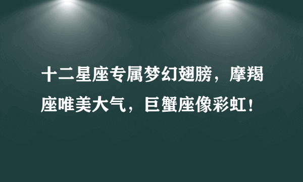 十二星座专属梦幻翅膀，摩羯座唯美大气，巨蟹座像彩虹！