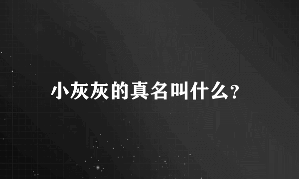 小灰灰的真名叫什么？