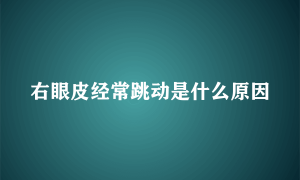 右眼皮经常跳动是什么原因