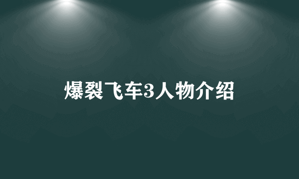 爆裂飞车3人物介绍