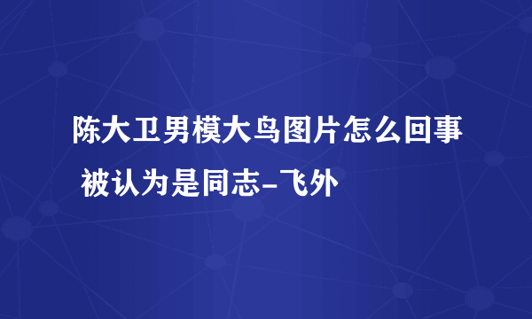 陈大卫男模大鸟图片怎么回事 被认为是同志-飞外