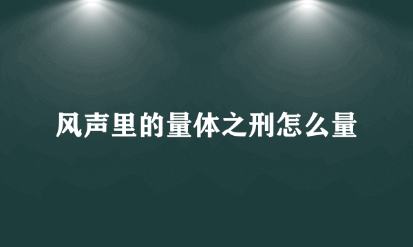 风声里的量体之刑怎么量