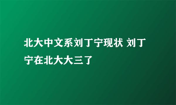 北大中文系刘丁宁现状 刘丁宁在北大大三了