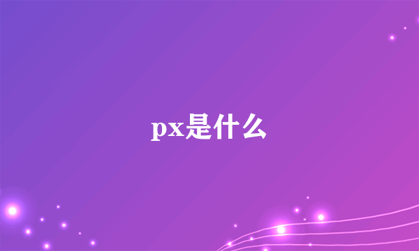 px是什么