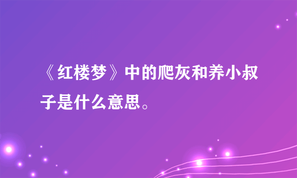 《红楼梦》中的爬灰和养小叔子是什么意思。