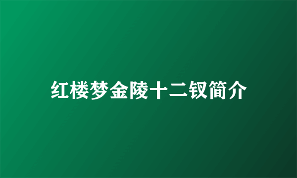 红楼梦金陵十二钗简介