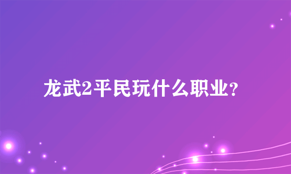 龙武2平民玩什么职业？