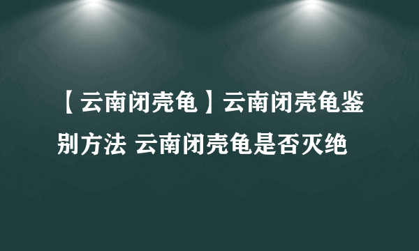 【云南闭壳龟】云南闭壳龟鉴别方法 云南闭壳龟是否灭绝