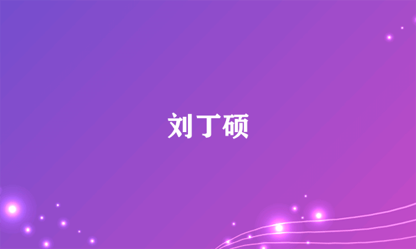 刘丁硕