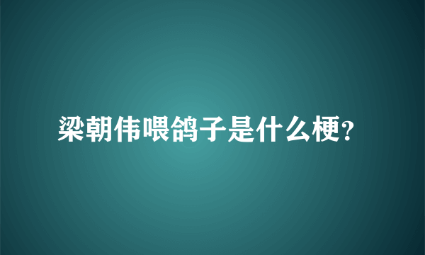 梁朝伟喂鸽子是什么梗？